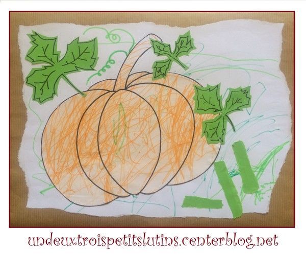 Première citrouille